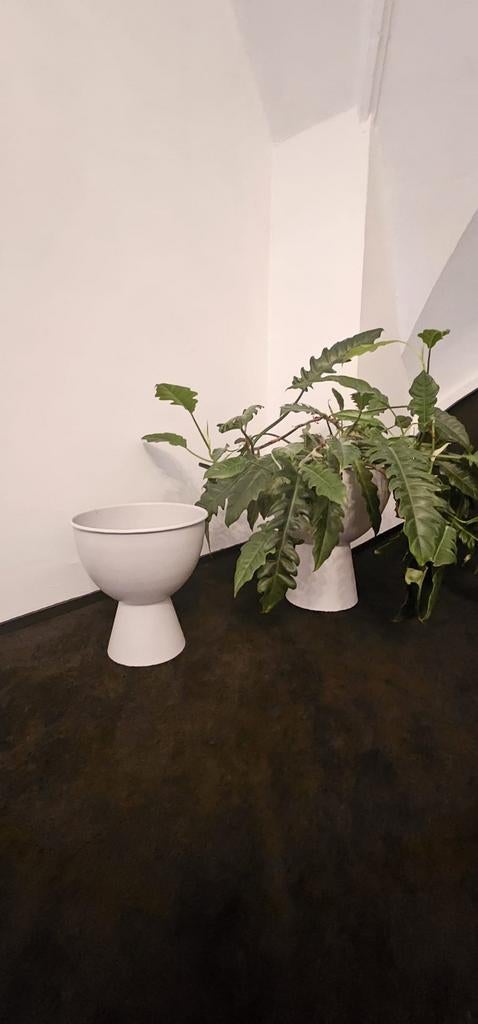 HKLIVING Bloempot - Maat M & L (te koop als set), Ophalen, Halfschaduw, Minder dan 100 cm