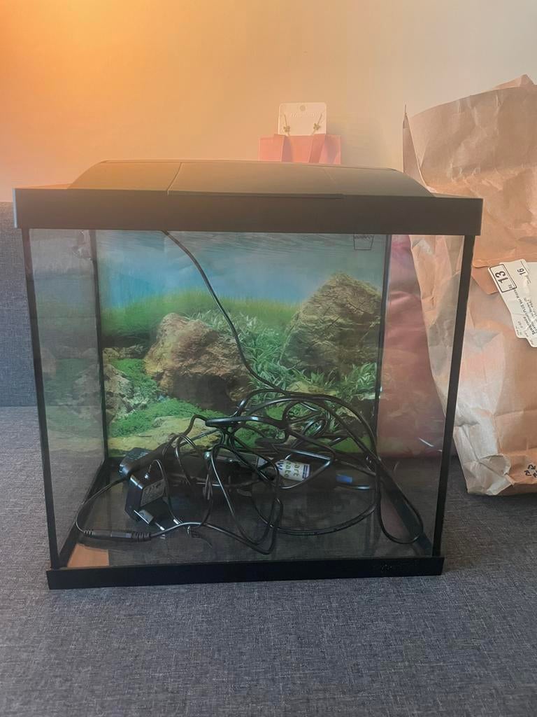 30L zoetwater aquarium., Ophalen of Verzenden, Zo goed als nieuw, Plant(en), Steen of Hout