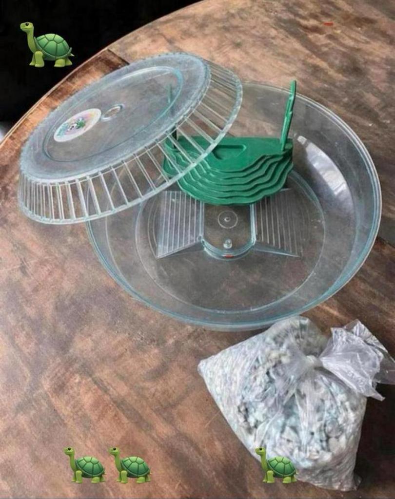 Bak + toebehoren voor kleine waterschildpadjes, baby visjes, Ophalen of Verzenden, Zo goed als nieuw