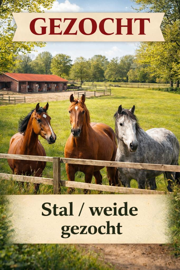 GEZOCHT: stal / weiland / woonboerderij – Almere + omstreken, Weidegang, 4 paarden of pony's of meer
