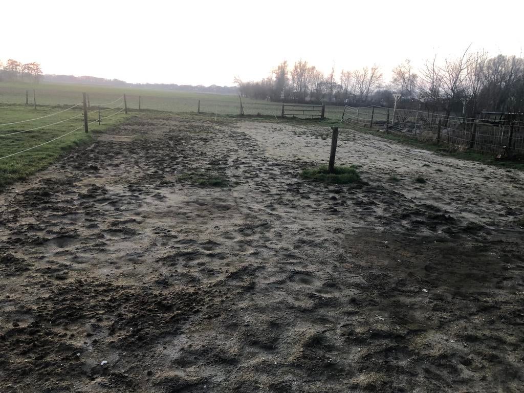 Gevraagd:zand voor in deze paddock, Dieren en Toebehoren