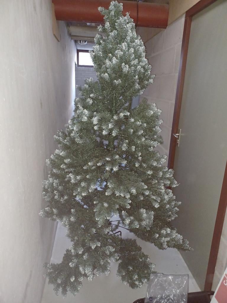 Prachtige kerstboom, Diversen, Kerst, Ophalen