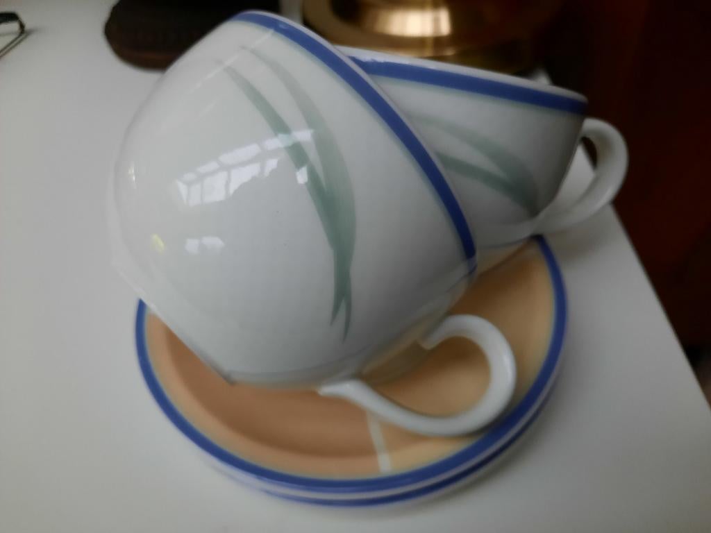 Villeroy & Boch kopjes met schotels 2x, Huis en Inrichting, Keuken | Servies, Ophalen of Verzenden, Zo goed als nieuw, Kop(pen) en/of Schotel(s)