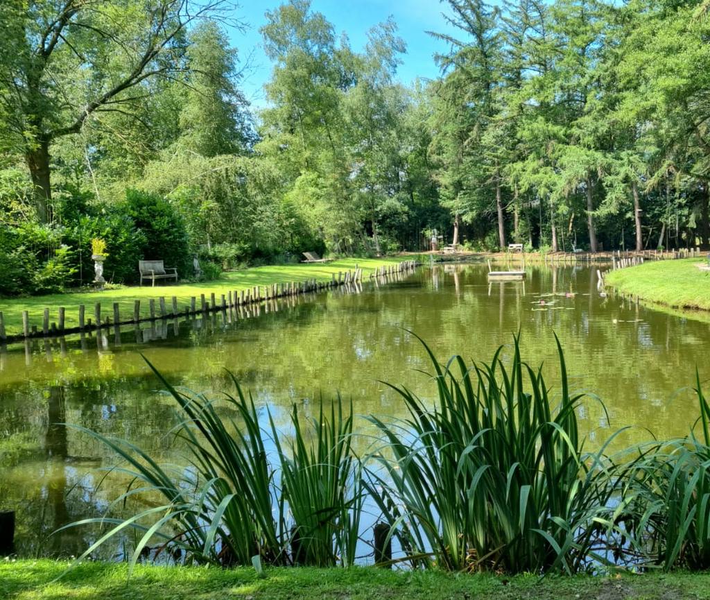 Vissen gezocht voor grote natuurvijver, Dieren en Toebehoren, Vissen | Vijvervissen, Karper of Koi