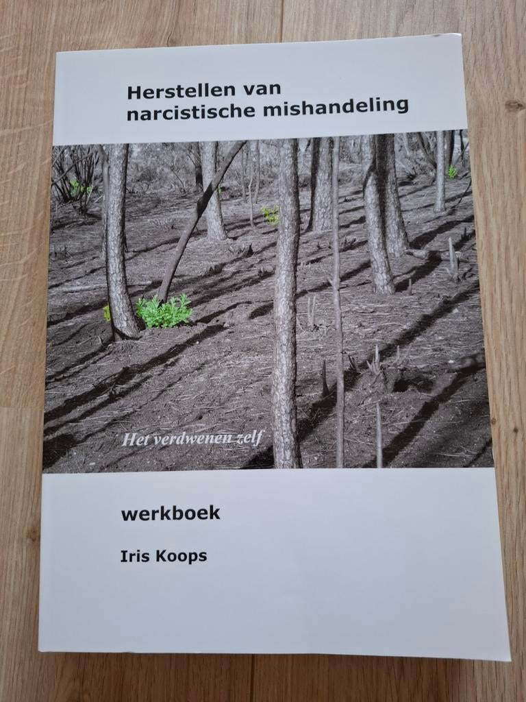 Iris Koops - Werkboek, Ophalen of Verzenden, Zo goed als nieuw, Iris Koops