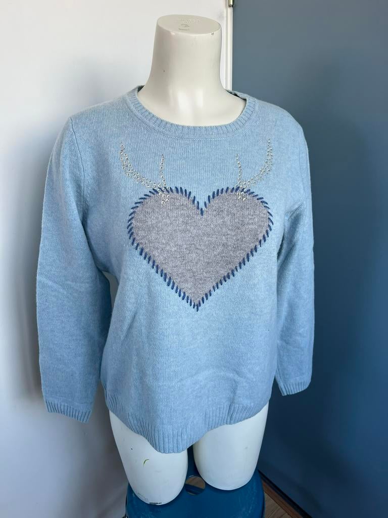 Christian berg lichtblauw hart wol wollen trui 44 merinowol, Kleding | Dames, Blauw, Maat 42/44 (L), Ophalen of Verzenden, Zo goed als nieuw