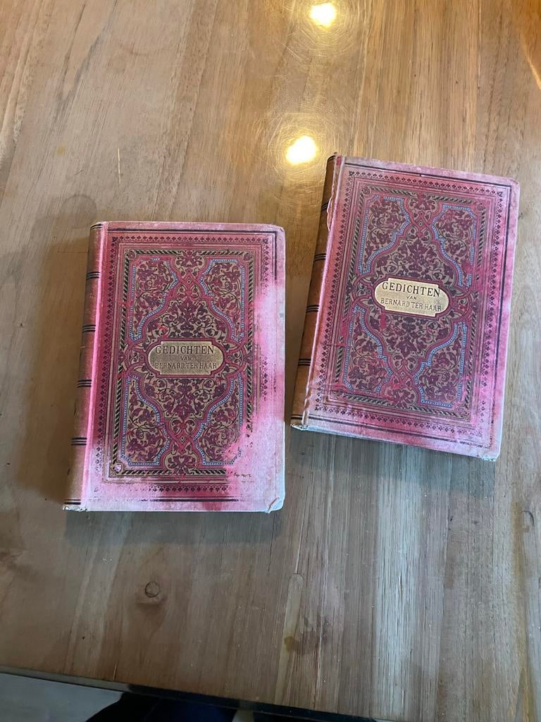 Gedichten Bernard ter Haar - Vintage bundel (2x), Boeken, Ophalen of Verzenden, Gelezen, Eén auteur
