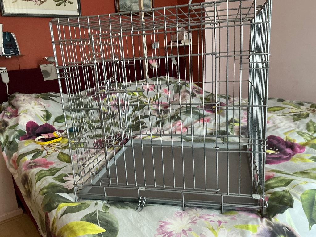 Hondenbench, Ophalen, Zo goed als nieuw