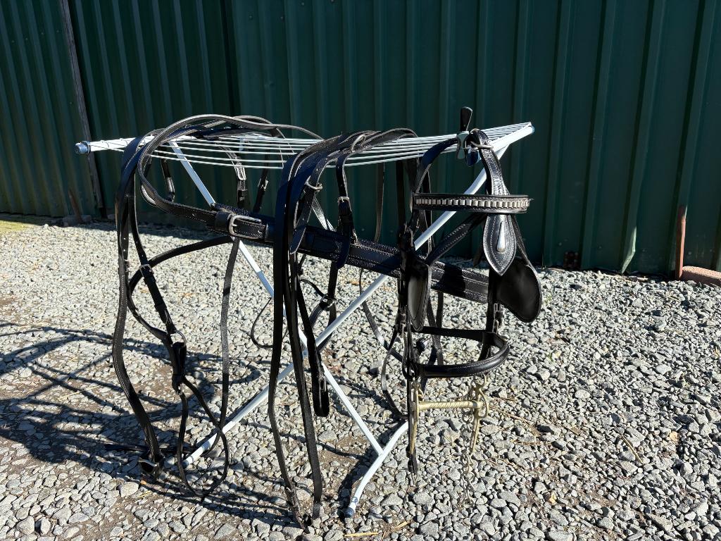 Enkelspan tuig pony, Dieren en Toebehoren, Ophalen of Verzenden, Gebruikt, Overige soorten