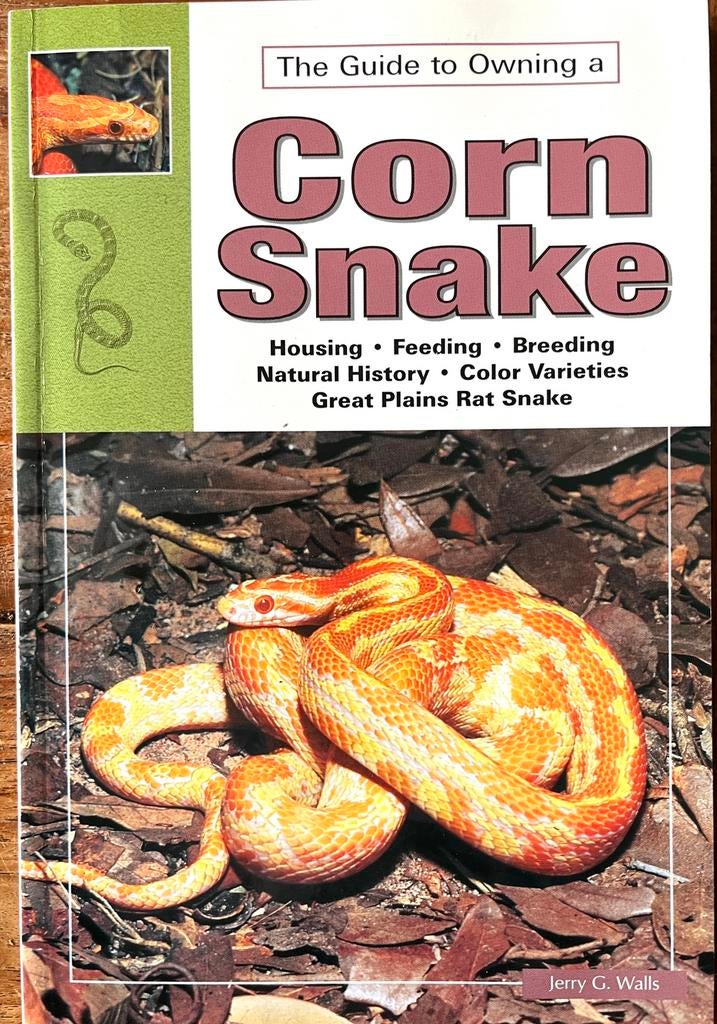 The Guide To Owning a Corn Snake Korenslang Rattenslang, Dieren en Toebehoren, Reptielen en Amfibieën | Toebehoren, Ophalen of Verzenden
