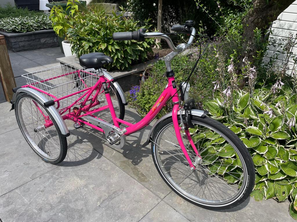 Driewieler Senzup Proven - kleur roze, Ophalen, Zo goed als nieuw, Senzup