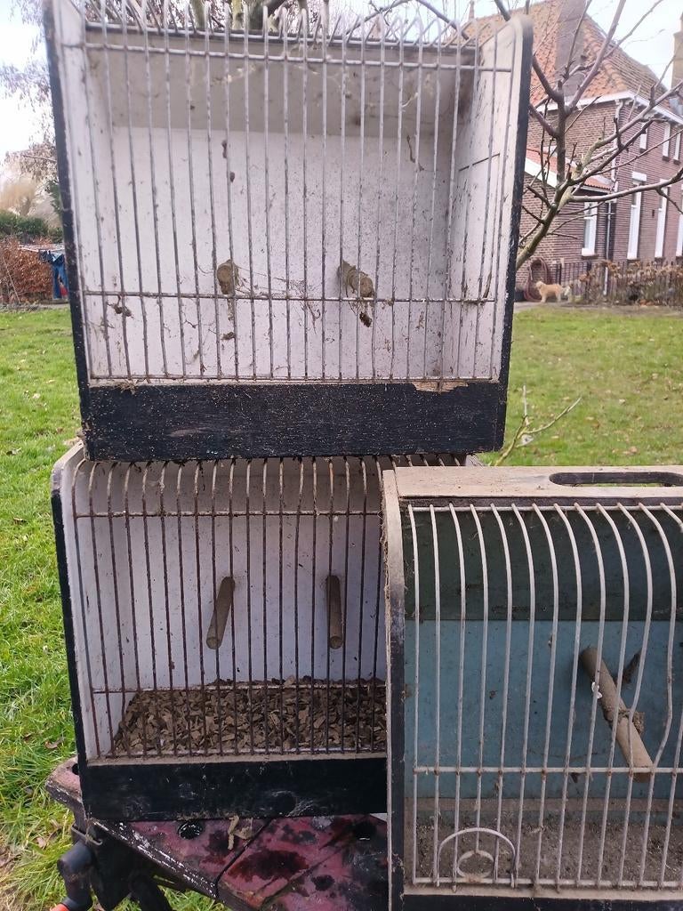 Te koop: 6 kleine transport vogelkooien, Ophalen of Verzenden, Zo goed als nieuw, Hout, Vogelkooi