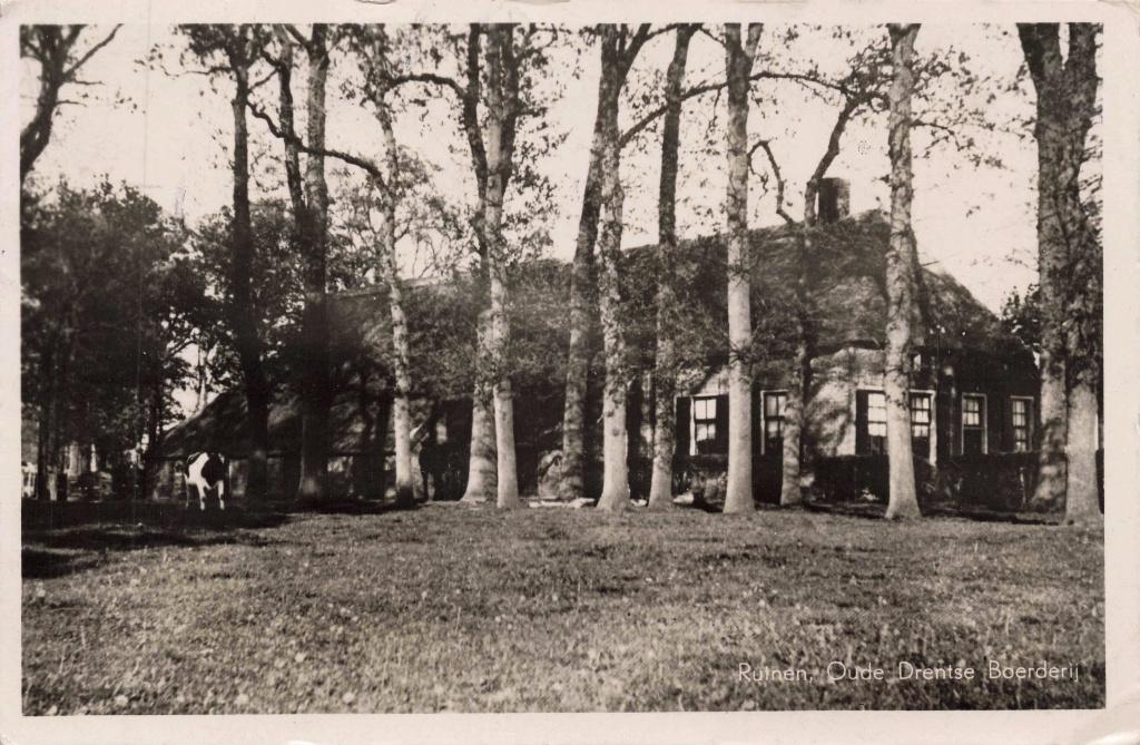 Ruinen Oude Drentse Boerderij M7887, Ophalen, 1940 tot 1960, Gelopen, Drenthe