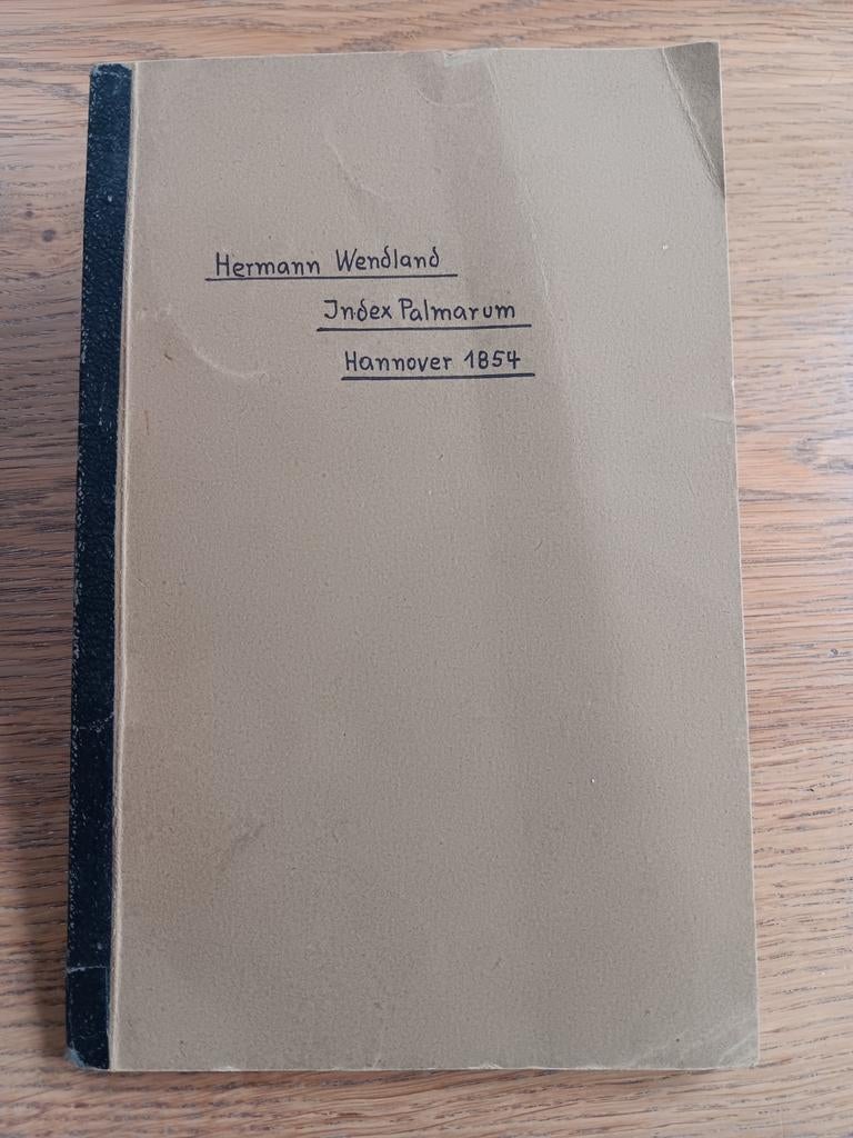 Wendland, Hermann: Index Palmarum 1854 - Erstausgabe, Antiek en Kunst, Antiek | Boeken en Bijbels, Ophalen of Verzenden