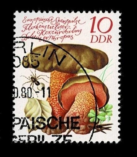 postzegel 2211 DDR paddenstoel Heksenboleet, Ophalen of Verzenden, DDR, Gestempeld