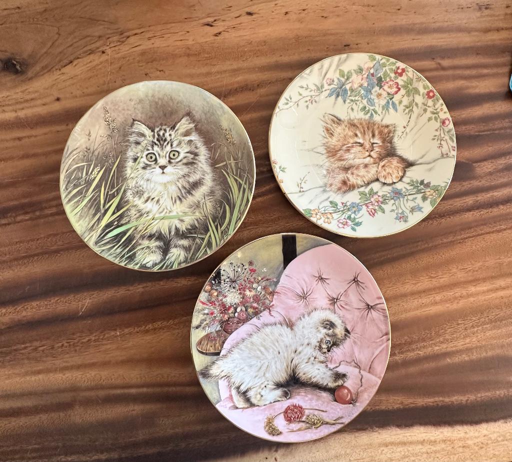 3 kitten classics borden royal worcester borden, Ophalen of Verzenden, Zo goed als nieuw, Bord