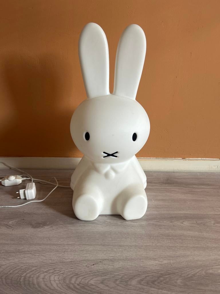 Mr. Maria Nijntje Lamp, Ophalen, Zo goed als nieuw