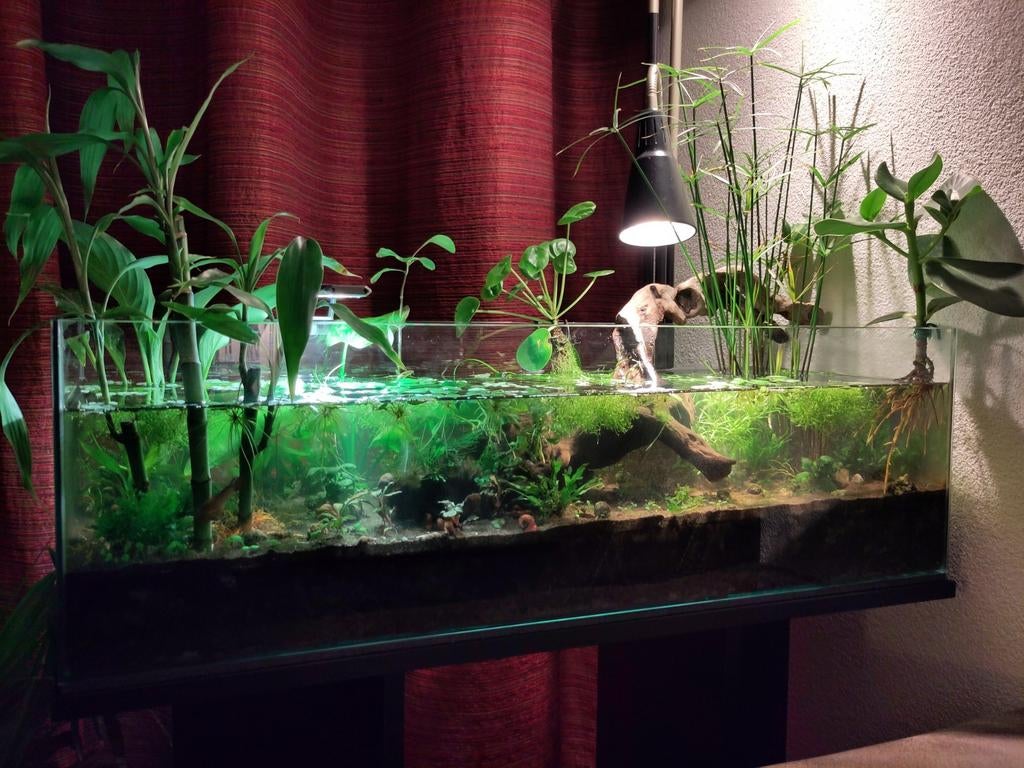 Wio Vistas 75f gezocht, Dieren en Toebehoren, Ophalen, Leeg aquarium