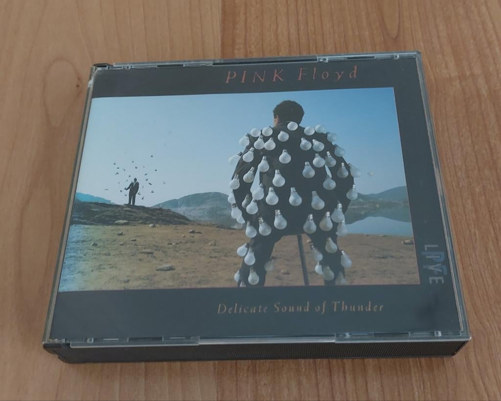 Pink Floyd - Delicate Sound of Thunder (Live CD, Ophalen of Verzenden, Gebruikt, Progressive
