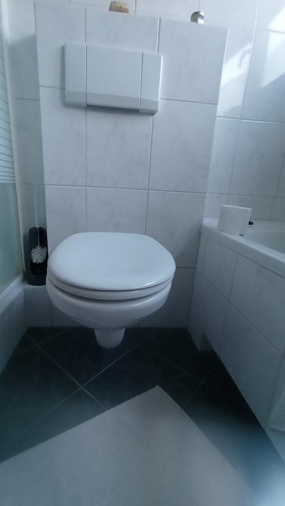 Gratis hangend toilet compleet, Doe-het-zelf en Verbouw, Sanitair, Ophalen, Gebruikt, Toilet