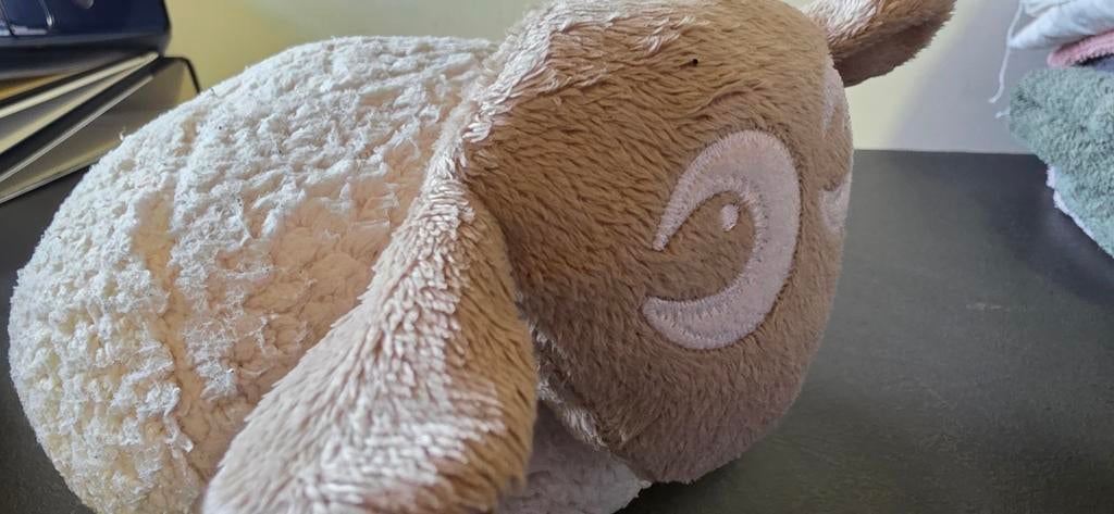 Ewan schaap, Ophalen of Verzenden, Zo goed als nieuw, Overige typen