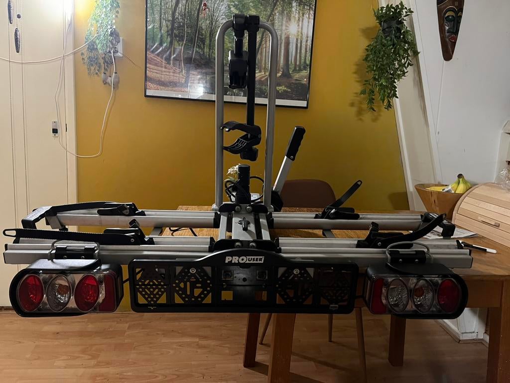 Pro user diamant, Ophalen, Elektrische fiets, Zo goed als nieuw, 2 fietsen