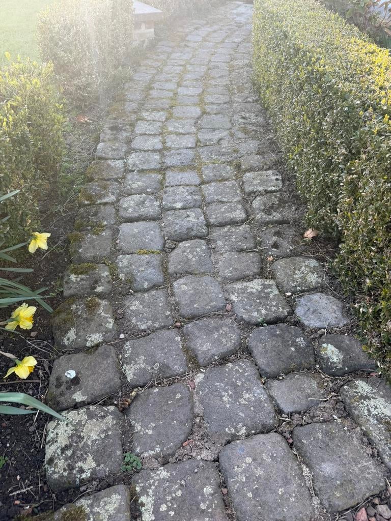 Echte oude kasseien, Tuin en Terras, Tegels en Klinkers, Ophalen, Gebruikt, Overige typen, Natuursteen