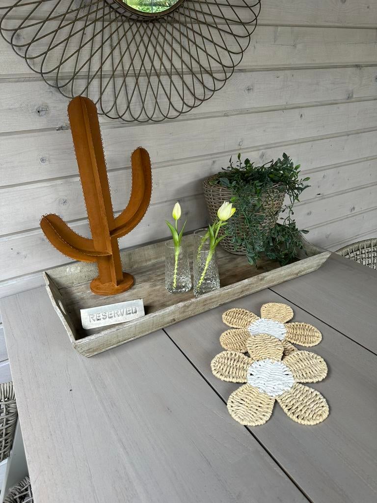 Metalen cactus, Ophalen of Verzenden, Nieuw, Buiten