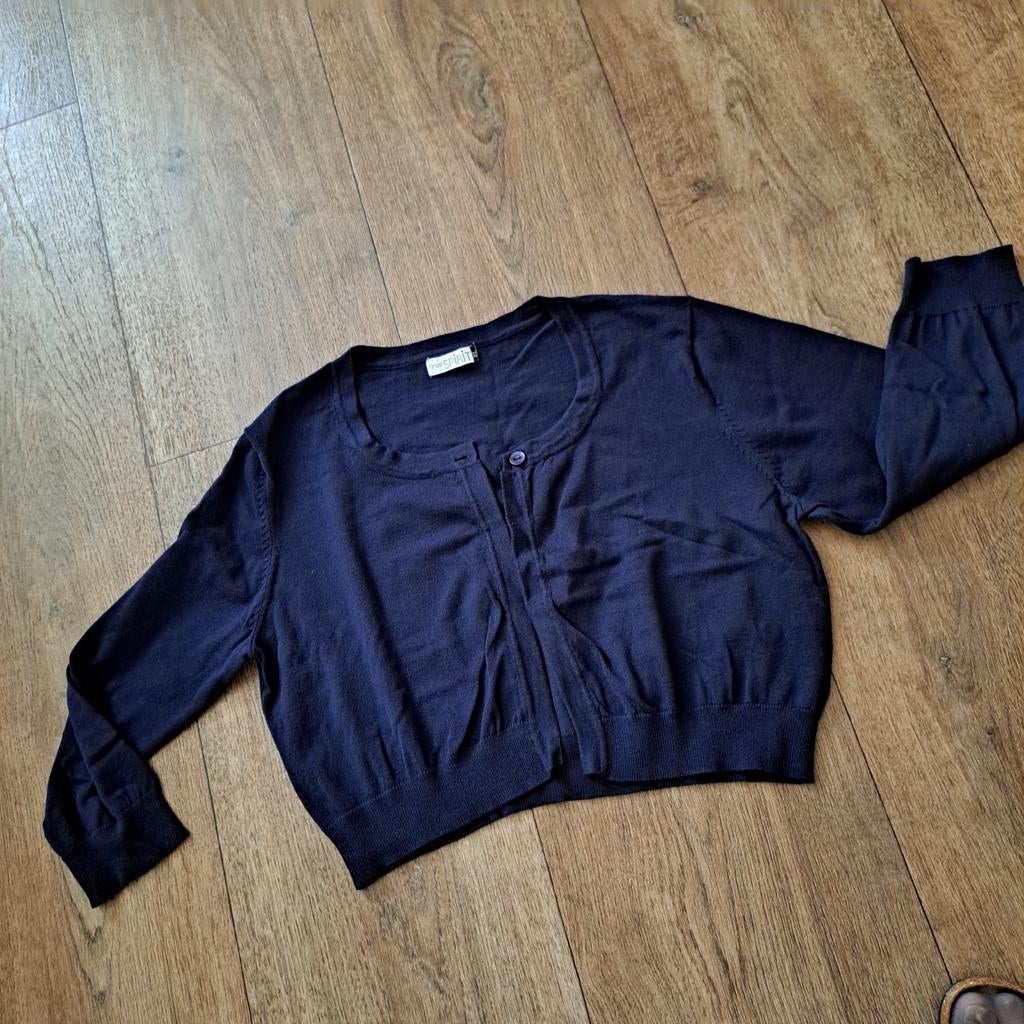 NIEUW bolero vestje d blauw mt. L, Blauw, Maat 42/44 (L), Nieuw, Ophalen of Verzenden