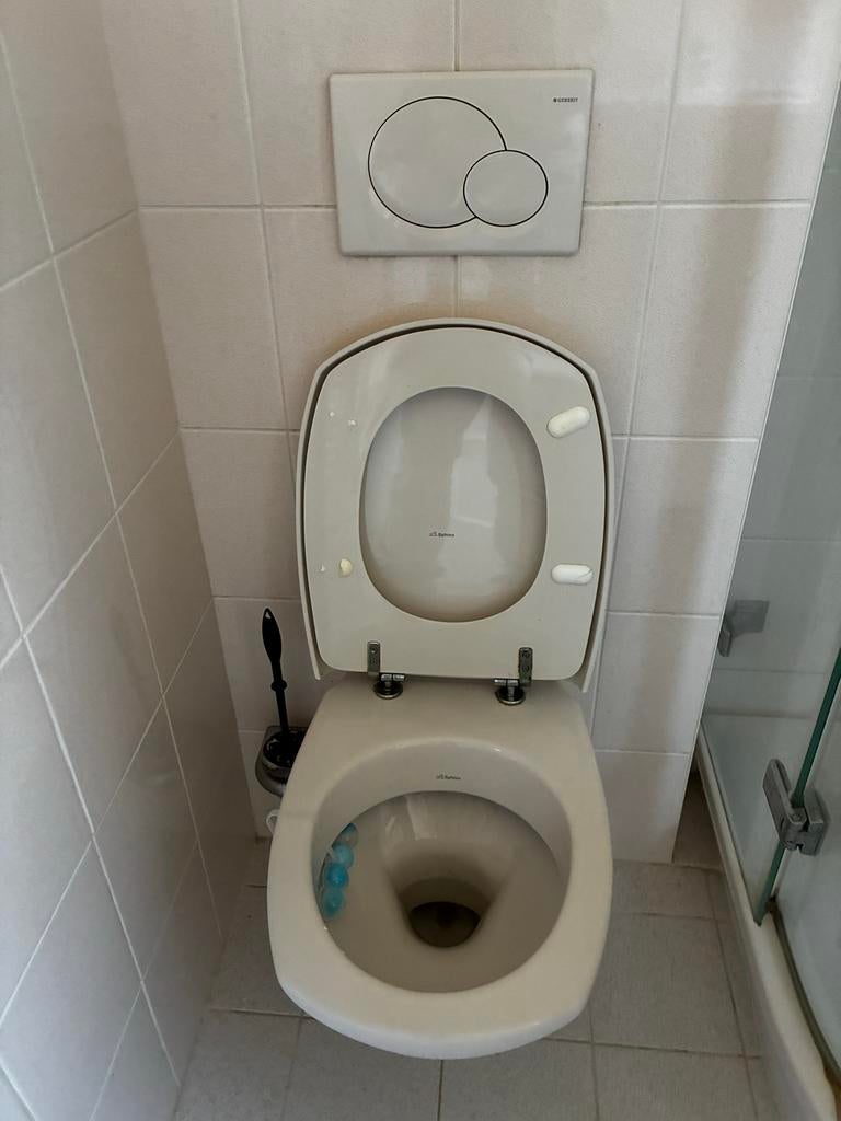 Sphinx toilet met Geberit inbouwreservoir, Doe-het-zelf en Verbouw, Sanitair, Ophalen, Gebruikt, Toilet