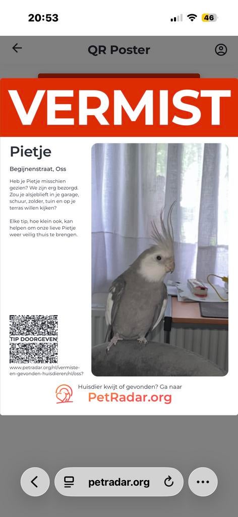 Vermist pietje