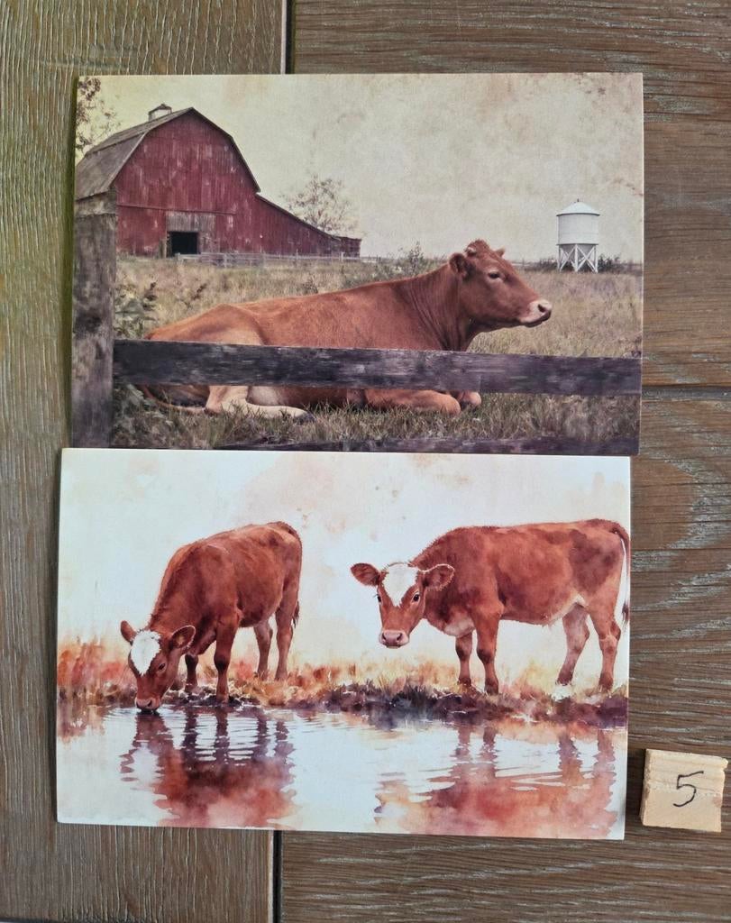 KOEIEN 5, Ophalen, Voor 1920, Hond of Kat