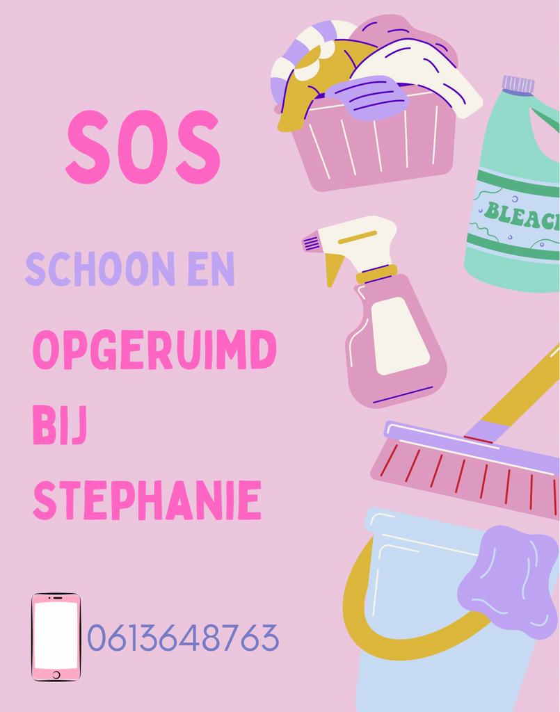 Schoonmaak adressen gezocht, Vanaf 10 jaar, Overige vormen