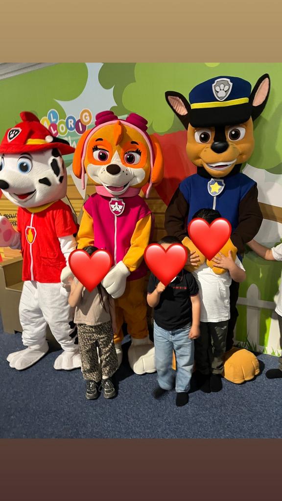 Paw Patrol Trio Mascotte Verhuur, Ophalen of Verzenden, Zo goed als nieuw, Verjaardag