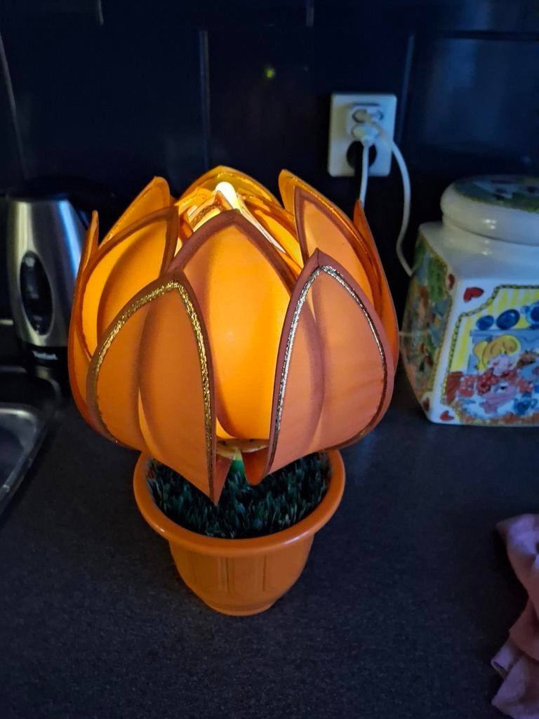 Lotus/tulp lamp, Ophalen, Minder dan 50 cm