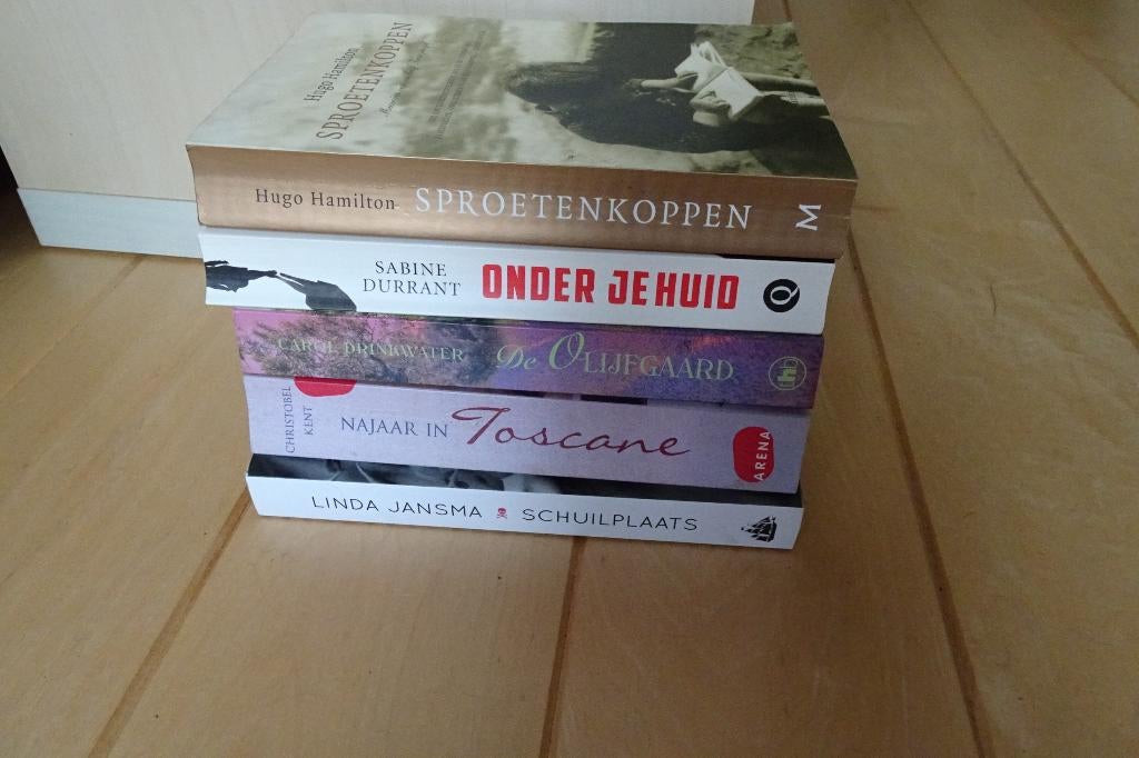 Charlotte Brontë Louis Couperus Douglas Kennedy Marian Keyes, Boeken, Ophalen of Verzenden, Zo goed als nieuw