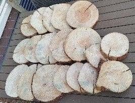 boomstamschijven voor bijv bruiloft decoratie, Ophalen of Verzenden, Zo goed als nieuw, Versiering, Geboorte of Huwelijk