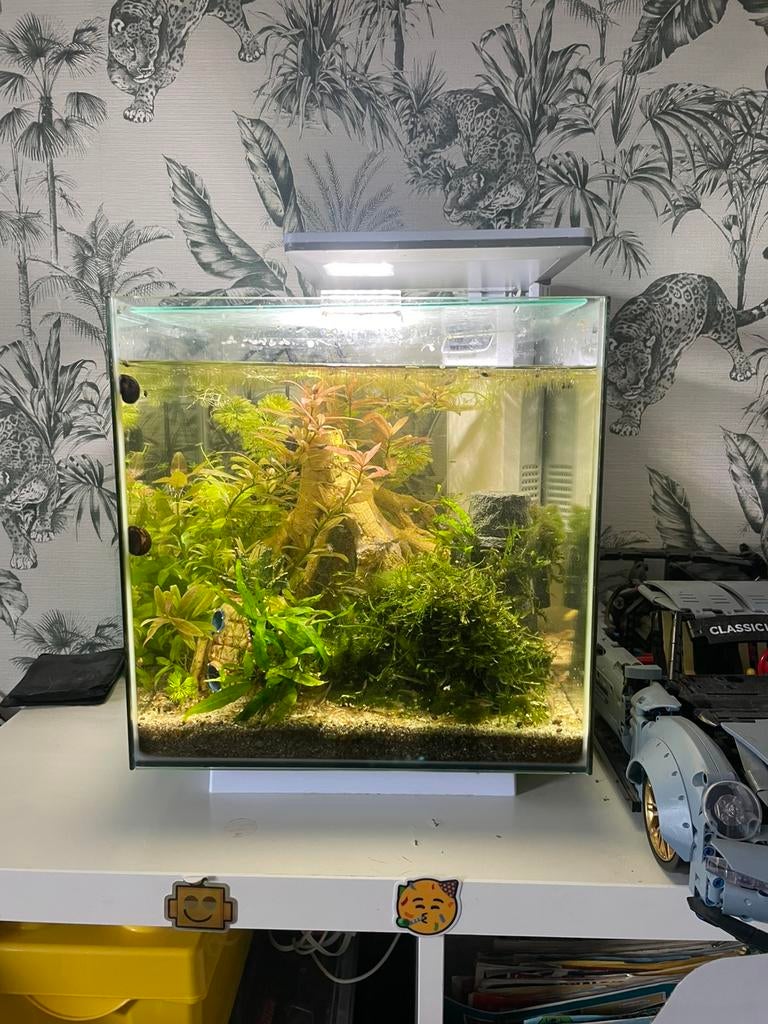 Superfish Qubiq 30, Dieren en Toebehoren, Vissen | Aquaria en Toebehoren, Ophalen, Gebruikt, Gevuld zoetwateraquarium, Superfish