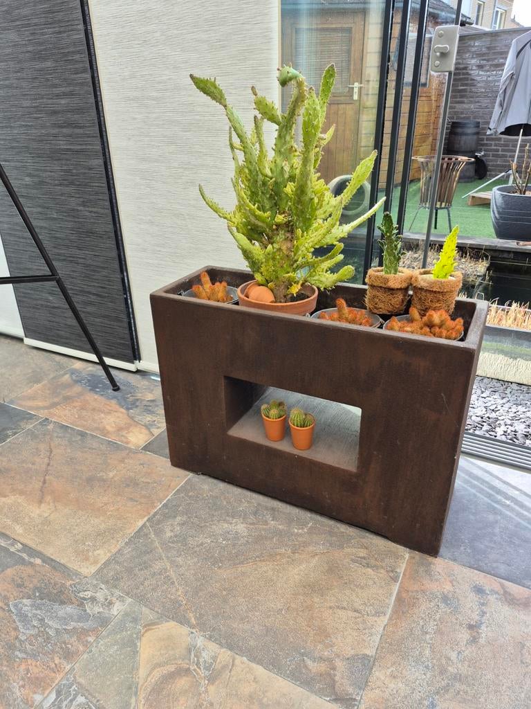 Grote bloembak Intratuin, Ophalen