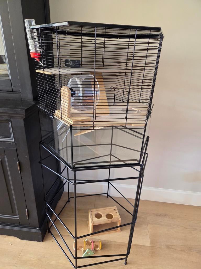 Hamsterkooi, Ophalen, Kooi, Gebruikt, Minder dan 75 cm