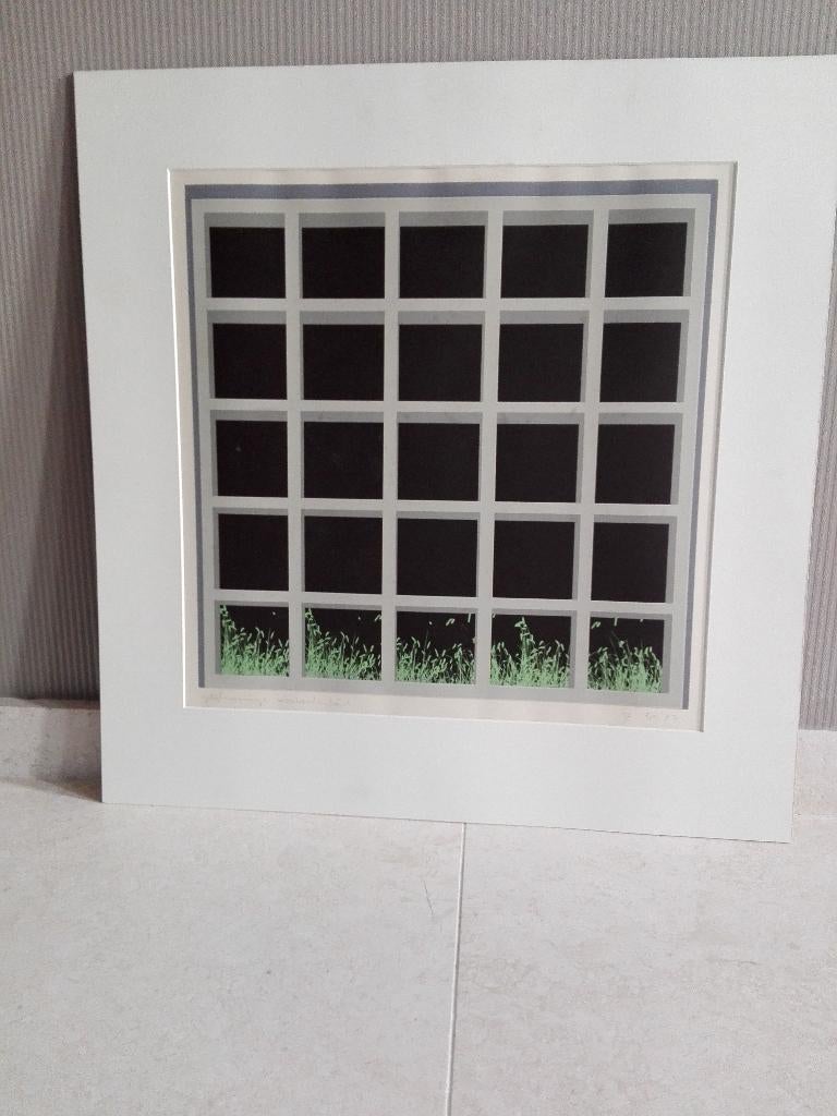 Zeefdruk ~ Gijs Winkelman, "Gelijkvormige verscheidenheid"., Ophalen of Verzenden