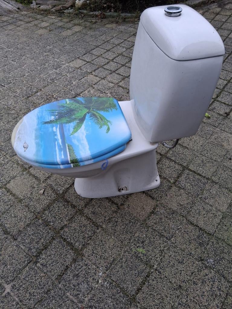 Toilet te koop is geen wit is licht beige/camee, Ophalen