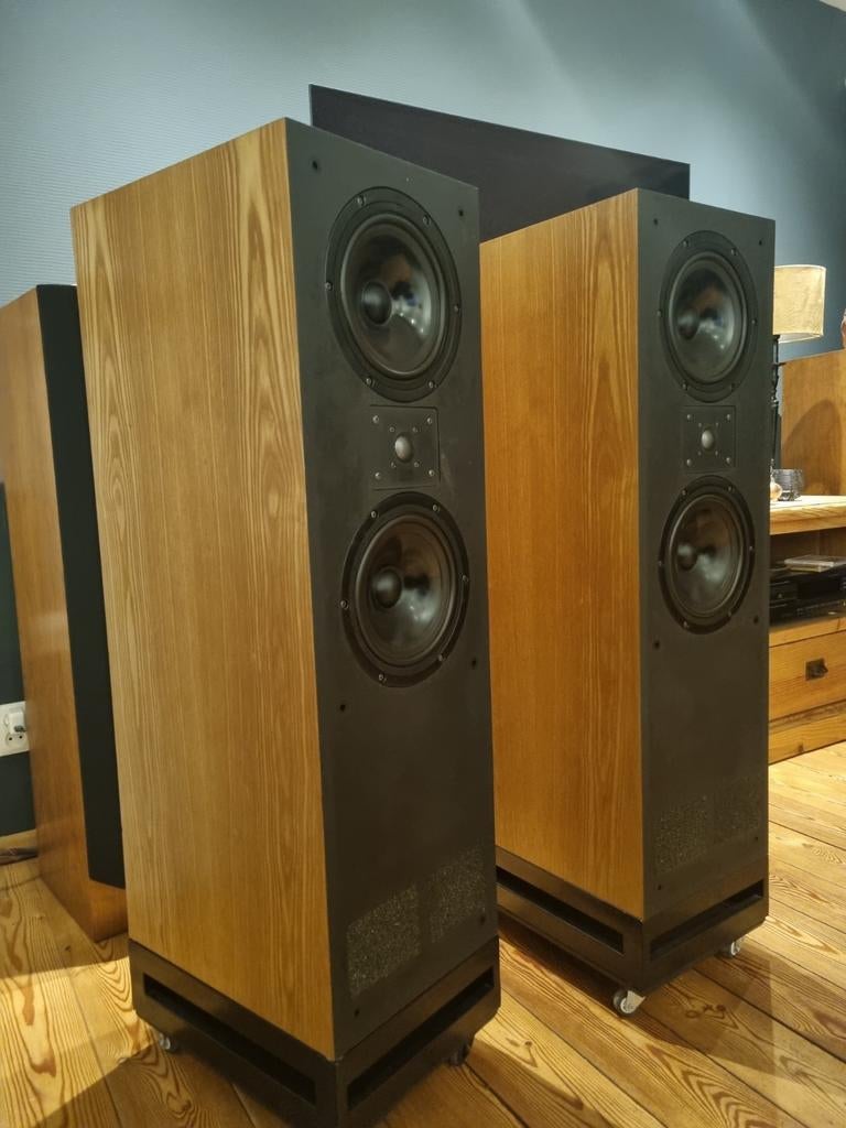 TDL STUDIO3 Mint staat, Zo goed als nieuw, 120 watt of meer, Front, Rear of Stereo speakers, Ophalen