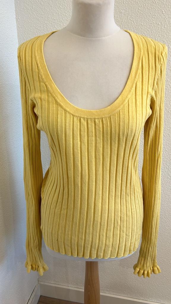 Fabienne Chapot maat L gele Ida pullover trui 935, Geel, Maat 42/44 (L), Ophalen of Verzenden, Zo goed als nieuw