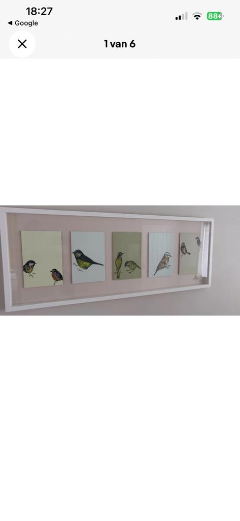 JENNY CAPON. . —  OLUNDA. —  BIRDS., Ophalen