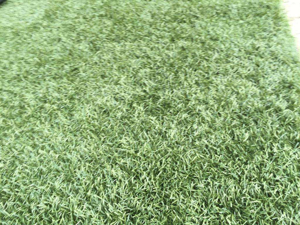 24m2 Kunstgras. 4cm Hoog! (4m x 6m) €120,-
