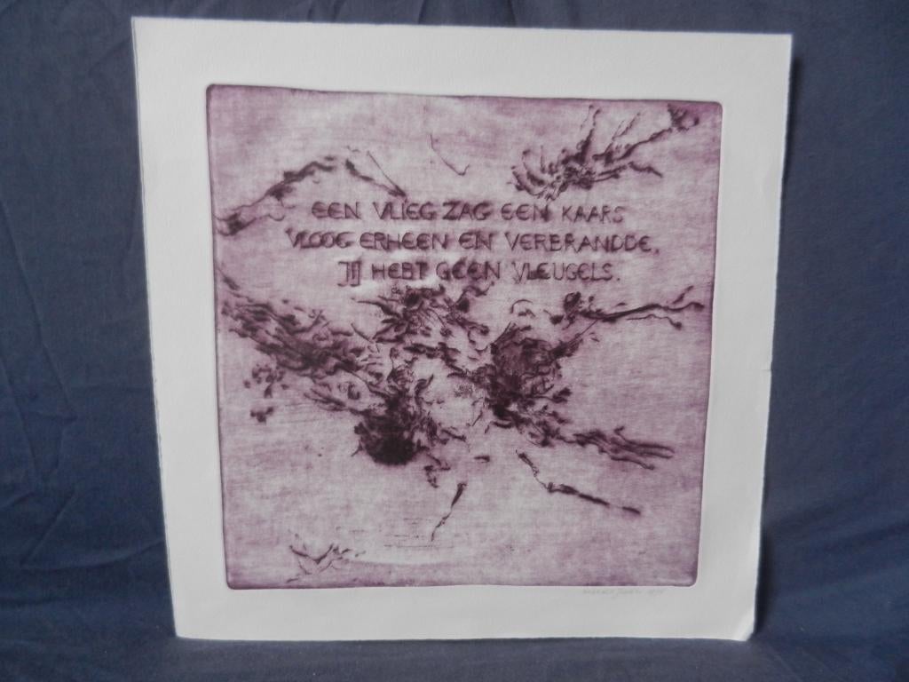 Ets + aquatint Een vlieg zag ..1974 Michael Jepkes 1938-2021, Ophalen of Verzenden