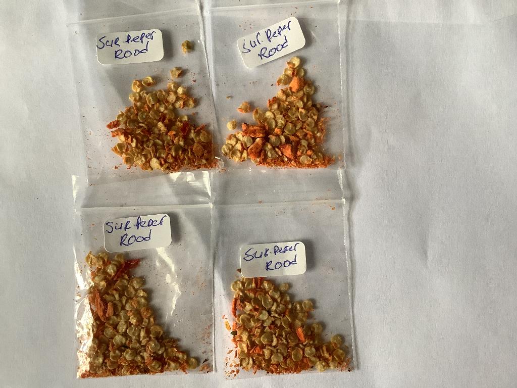 Surinaamse rode peper zaden 1,00 euro per zakje., Ophalen of Verzenden, Volle zon