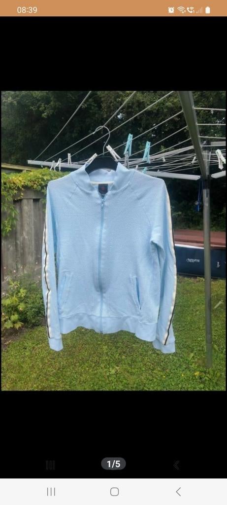 Penn & ink, Kleding | Dames, Truien en Vesten, Maat 38/40 (M), Penn & Ink, Blauw, Ophalen of Verzenden