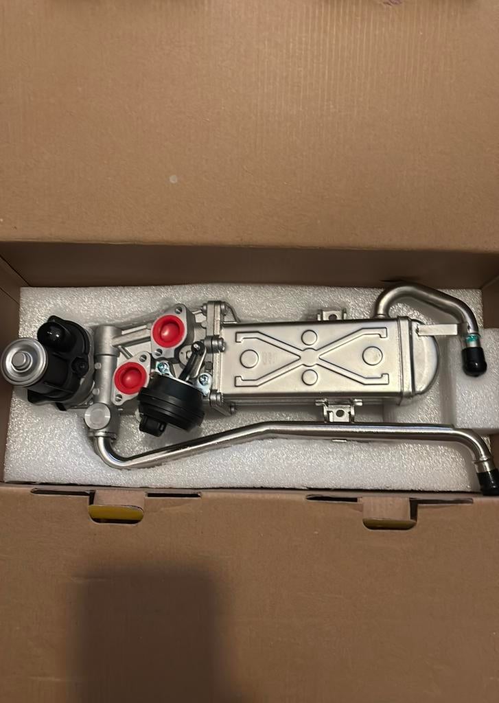 EGR klep, Ophalen of Verzenden, Nieuw, Seat